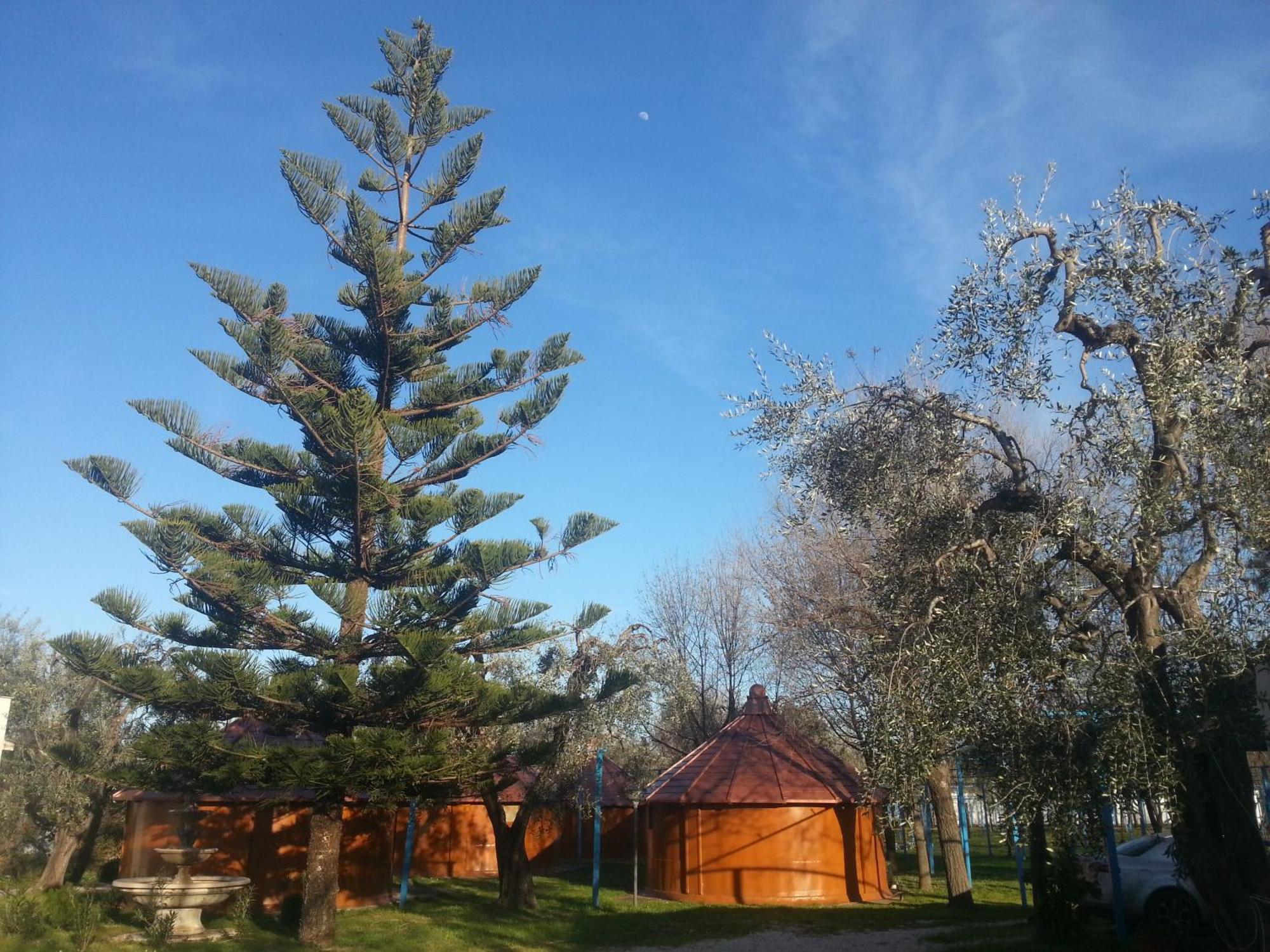 Mattinata Camping Екстер'єр фото